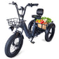 750W 48V 30.5Ah Triplet Power Tricycle